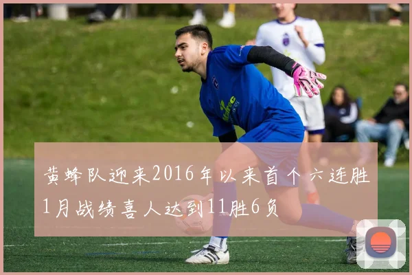黄蜂队迎来2016年以来首个六连胜1月战绩喜人达到11胜6负