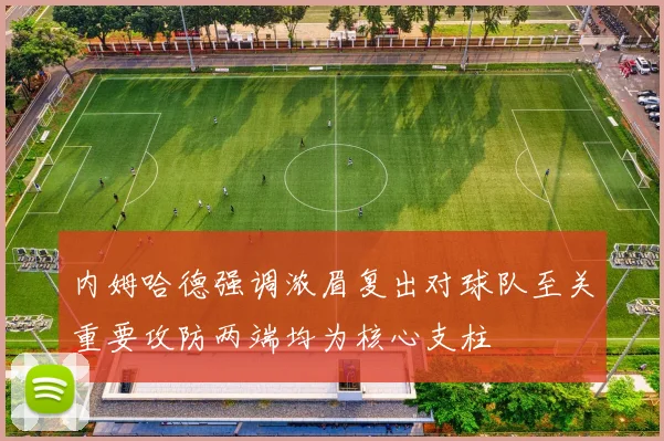 内姆哈德强调浓眉复出对球队至关重要攻防两端均为核心支柱
