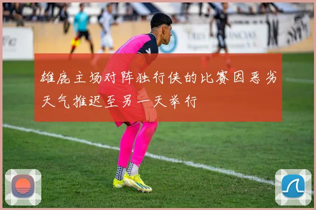 雄鹿主场对阵独行侠的比赛因恶劣天气推迟至另一天举行